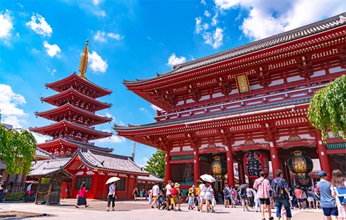 Japan Unfiltered: 8 Days of Vibes, Views & Culture